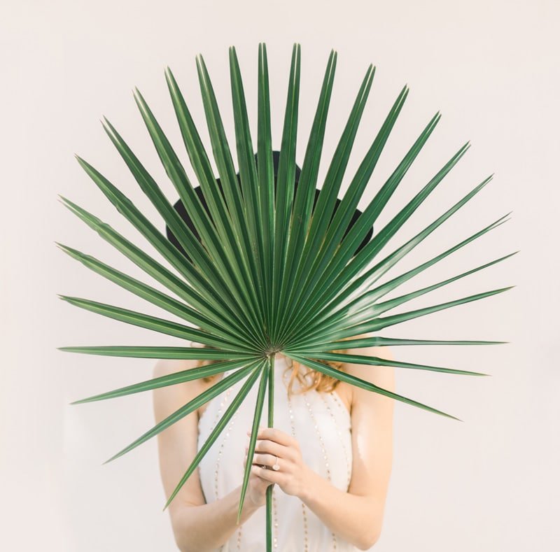 Serviço de Marketing Digital